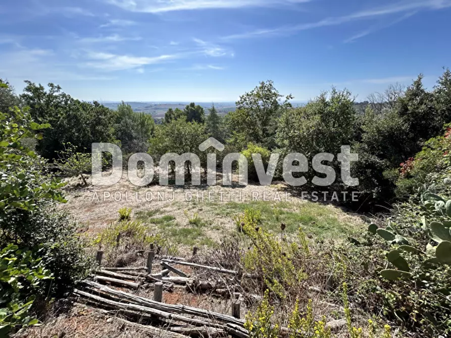 Immagine 37 di Villa in vendita  in Via Muratella a Capalbio