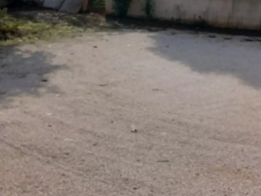 Immagine 5 di Villa in vendita  in Villanova di Ostuni (mare) a Ostuni