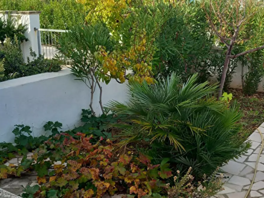 Immagine 34 di Villa in vendita  in Villanova di Ostuni (mare) a Ostuni