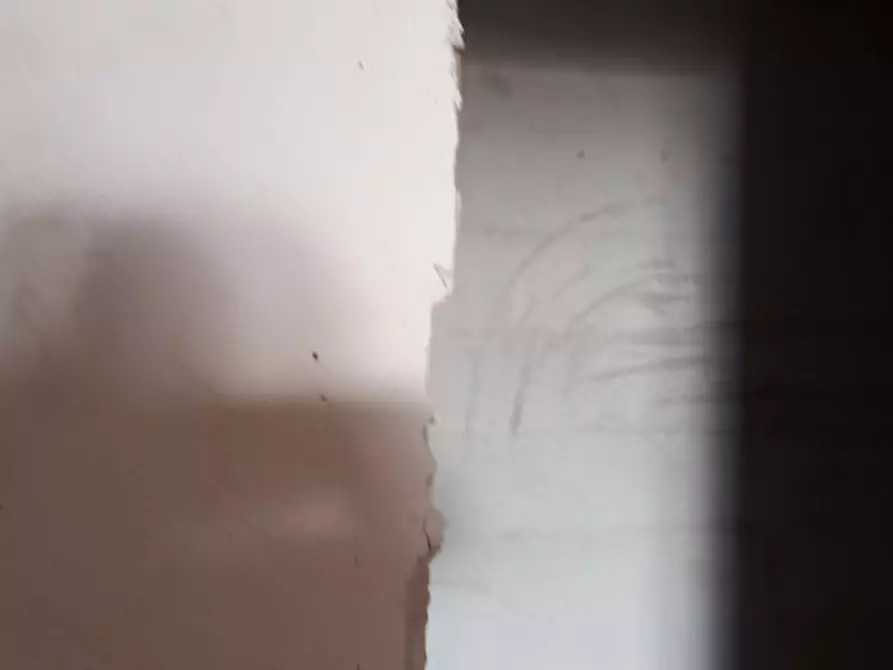 Immagine 40 di Villa in vendita  in Villanova di Ostuni (mare) a Ostuni