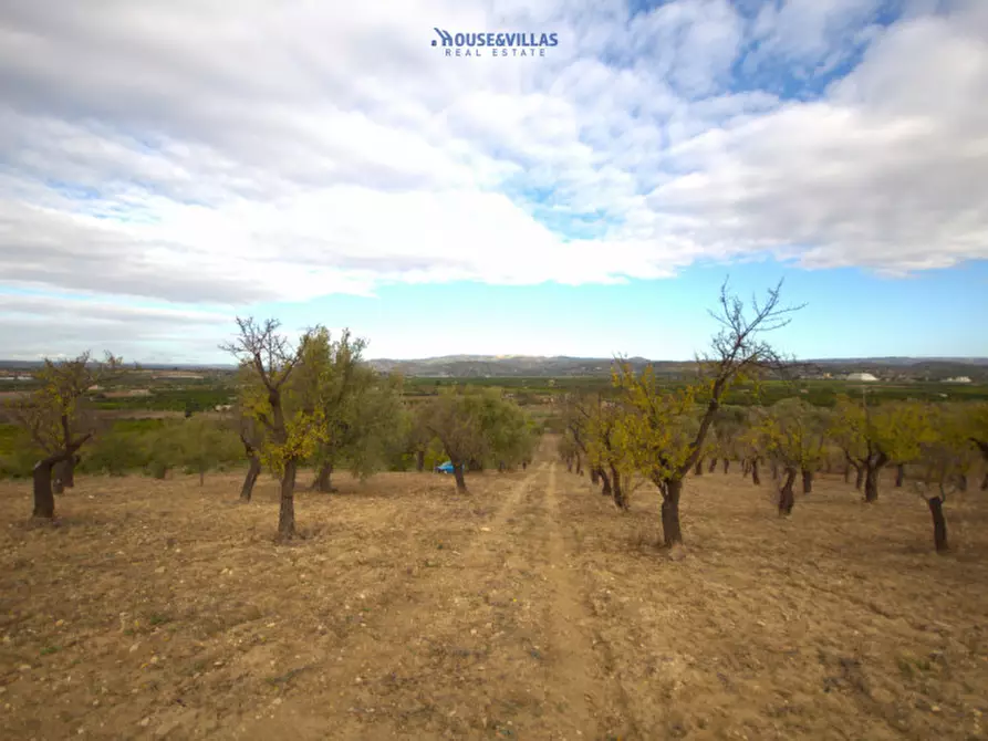 Immagine 2 di Terreno in vendita  in contrada fullo a Noto