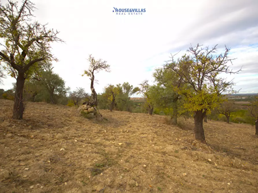 Immagine 3 di Terreno in vendita  in contrada fullo a Noto