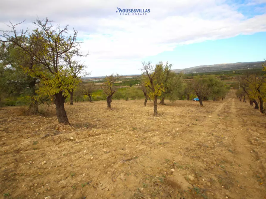 Immagine 4 di Terreno in vendita  in contrada fullo a Noto