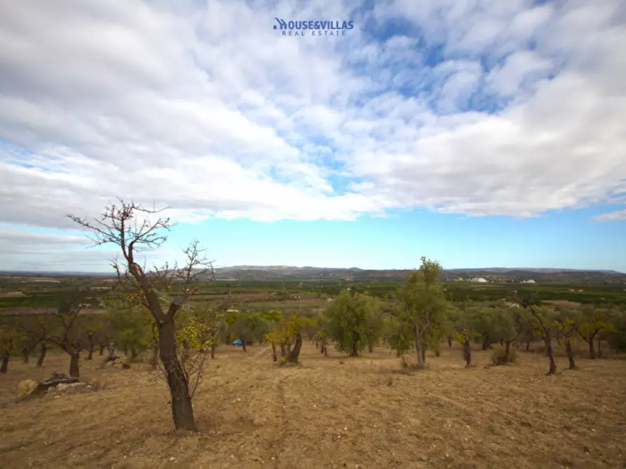 Immagine 5 di Terreno in vendita  in contrada fullo a Noto
