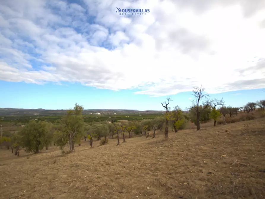 Immagine 6 di Terreno in vendita  in contrada fullo a Noto