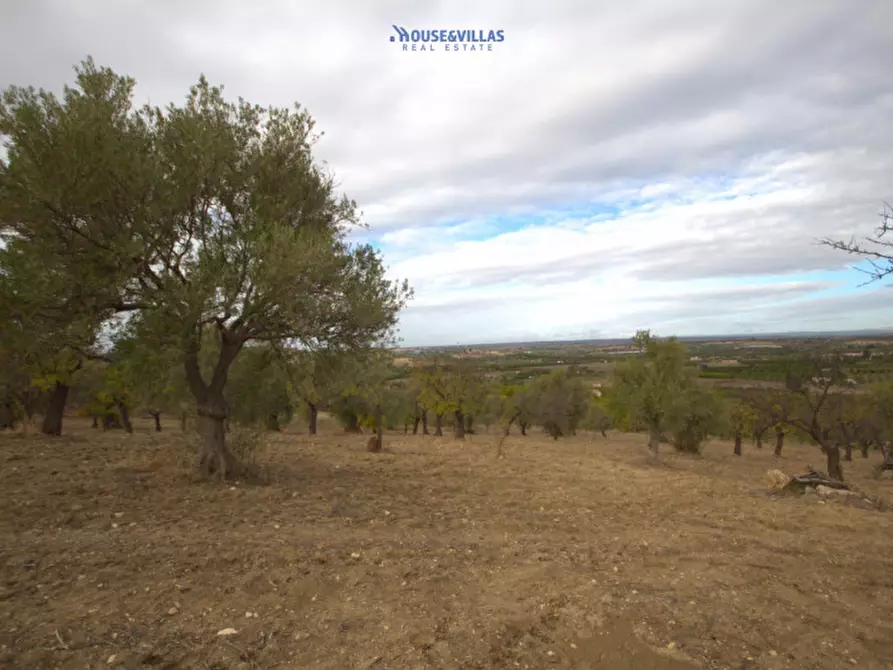 Immagine 7 di Terreno in vendita  in contrada fullo a Noto