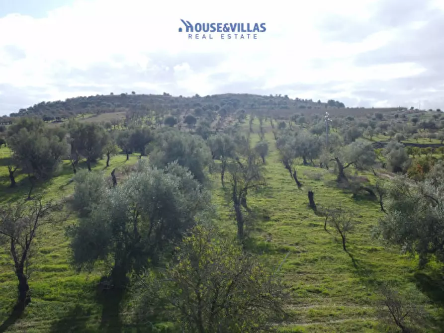 Immagine 8 di Terreno in vendita  in contrada fullo a Noto