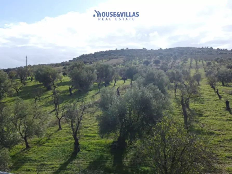 Immagine 9 di Terreno in vendita  in contrada fullo a Noto