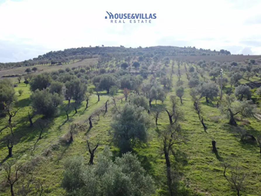 Immagine 11 di Terreno in vendita  in contrada fullo a Noto