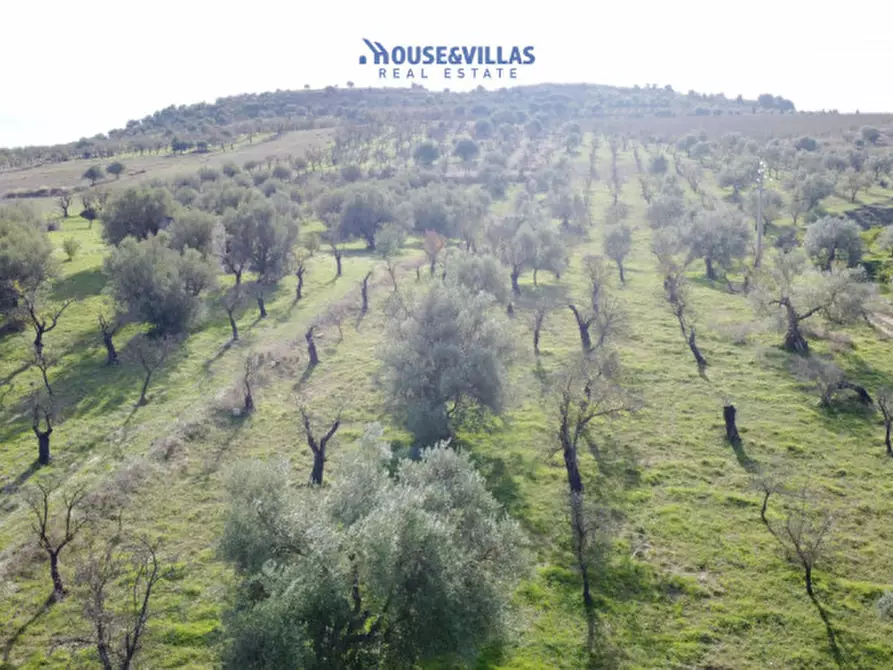 Immagine 12 di Terreno in vendita  in contrada fullo a Noto