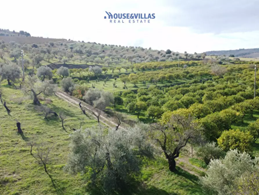 Immagine 13 di Terreno in vendita  in contrada fullo a Noto