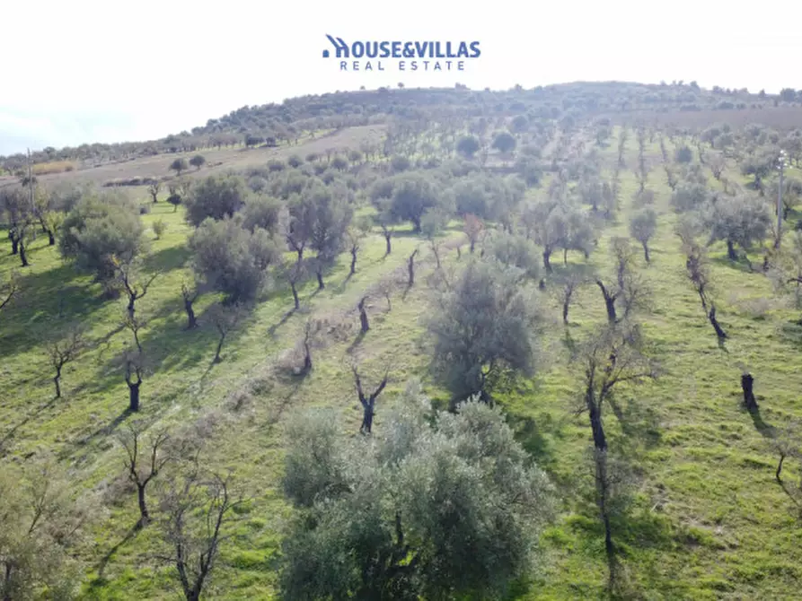 Immagine 14 di Terreno in vendita  in contrada fullo a Noto