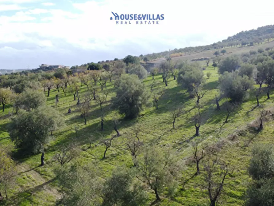 Immagine 15 di Terreno in vendita  in contrada fullo a Noto