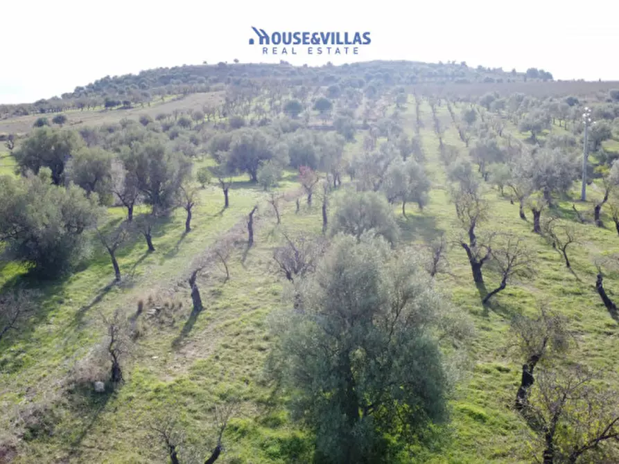 Immagine 16 di Terreno in vendita  in contrada fullo a Noto