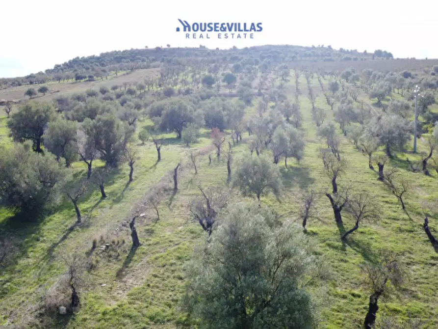 Immagine 17 di Terreno in vendita  in contrada fullo a Noto