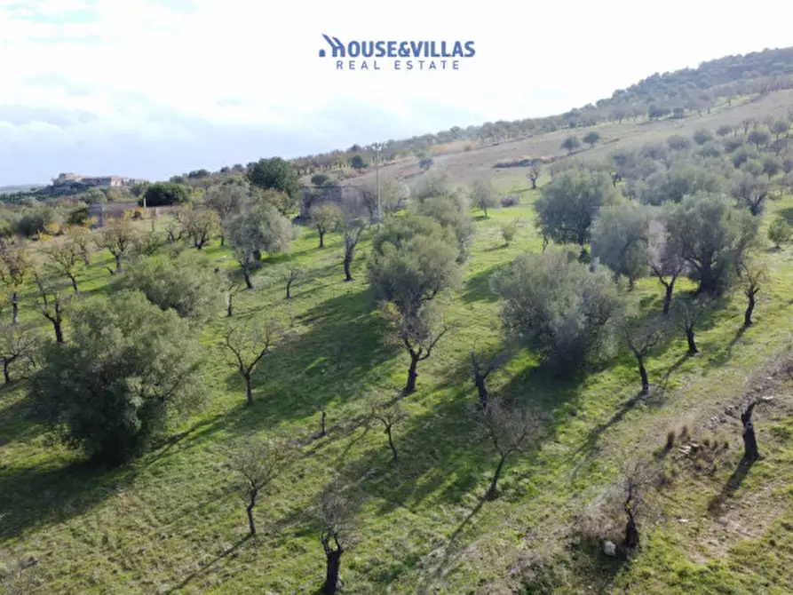 Immagine 19 di Terreno in vendita  in contrada fullo a Noto