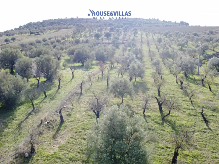 Immagine 20 di Terreno in vendita  in contrada fullo a Noto