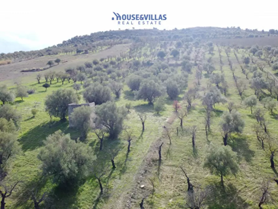 Immagine 21 di Terreno in vendita  in contrada fullo a Noto