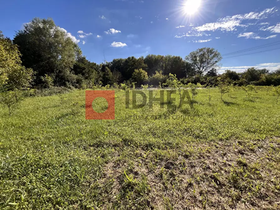 Immagine 25 di Casa bifamiliare in vendita  in via sant'elena 70 a Silea