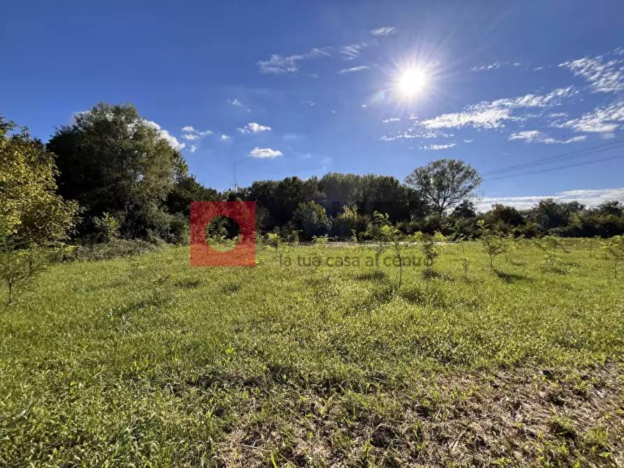 Immagine 27 di Casa bifamiliare in vendita  in via sant'elena 70 a Silea