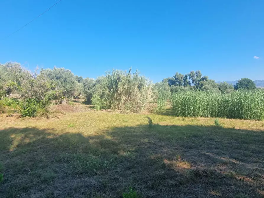 Immagine 2 di Terreno in vendita  in via trinità a Milazzo