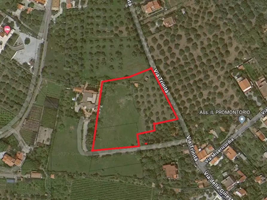 Immagine 5 di Terreno in vendita  in via trinità a Milazzo