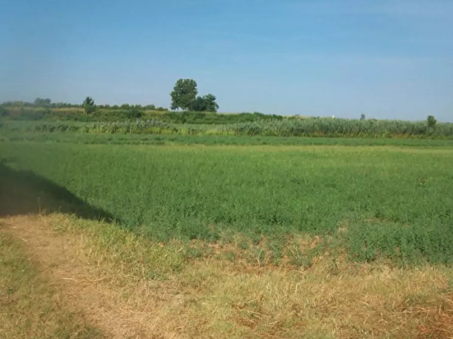 Immagine 1 di Terreno in vendita  in VIA G. BORIANI 30 a Bozzolo