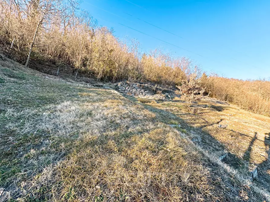 Immagine 22 di Villa in vendita  in Via Vittone snc a Grignasco