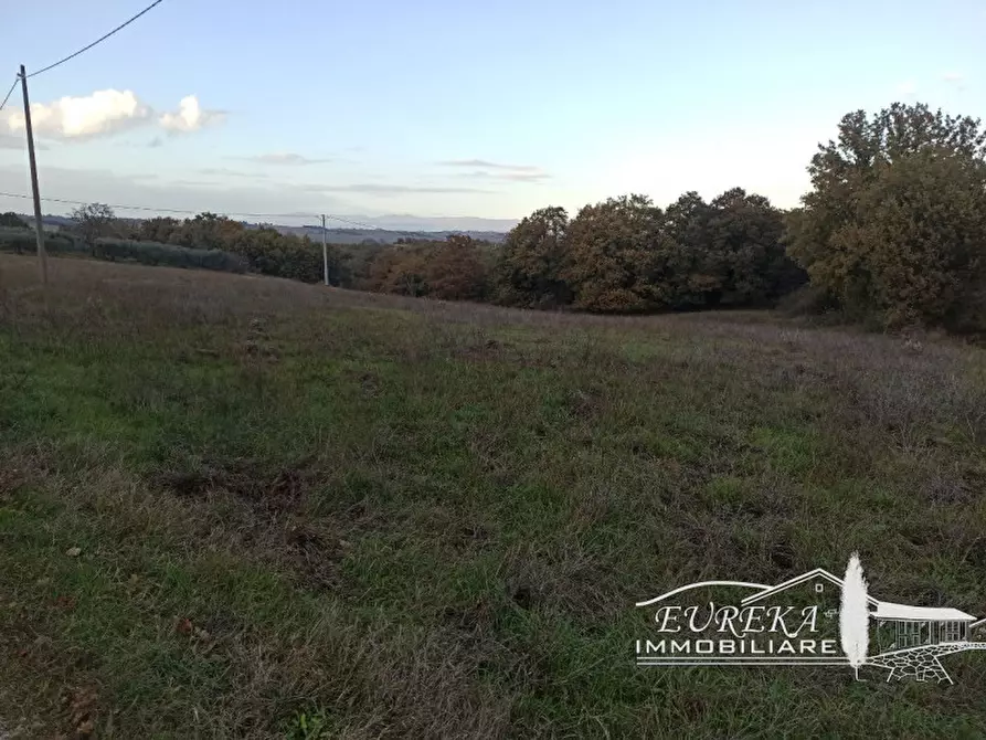 Immagine 23 di Rustico / casale in vendita  in san donato moiano a Città Della Pieve