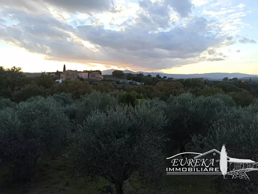 Immagine 28 di Rustico / casale in vendita  in san donato moiano a Città Della Pieve