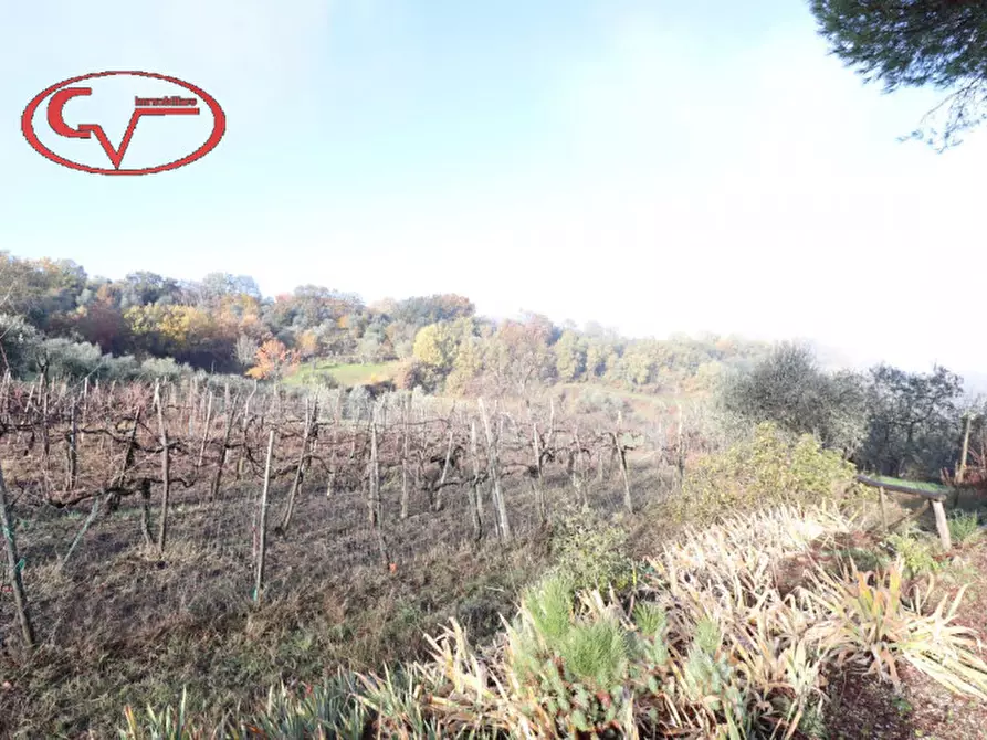 Immagine 14 di Rustico / casale in vendita  in via dei colli a Cavriglia