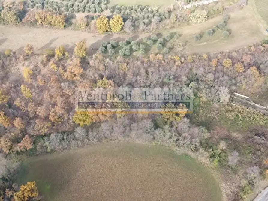 Immagine 6 di Terreno in vendita  in Via Giovanni Battista Vighenzi a Padenghe Sul Garda
