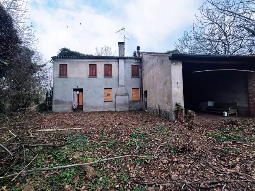 Immagine 3 di Rustico / casale in vendita  in Via Oppi a Borgo Veneto