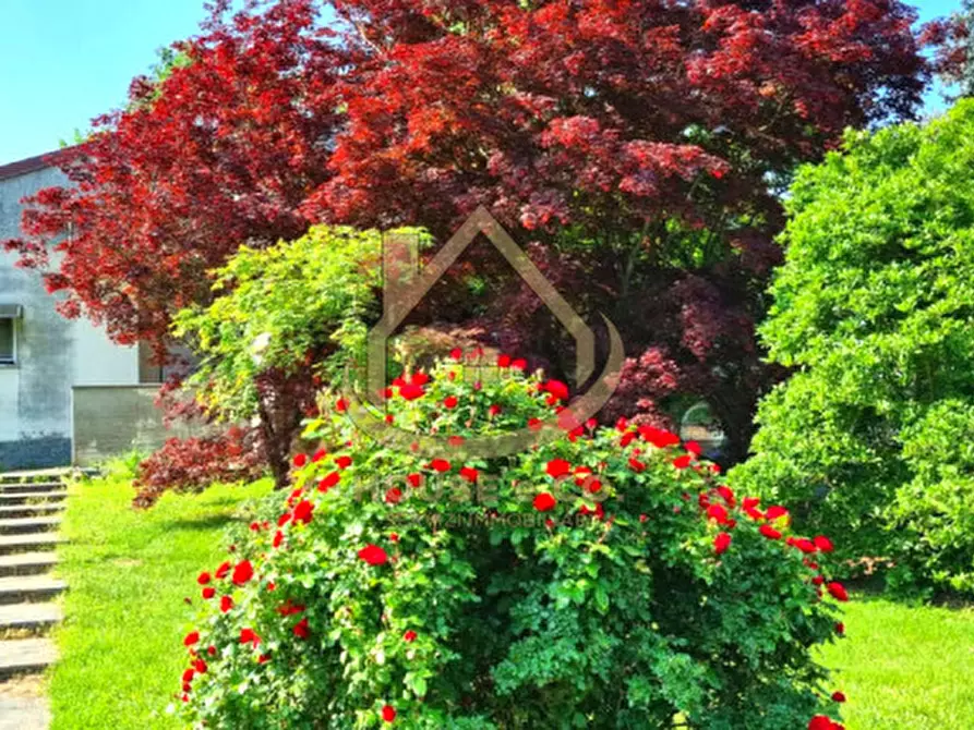 Immagine 4 di Villa in vendita  in Via Grandi a Cilavegna