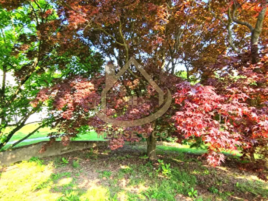 Immagine 5 di Villa in vendita  in Via Grandi a Cilavegna