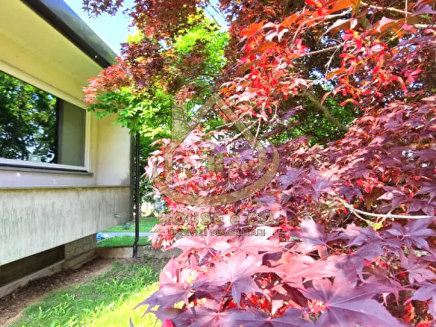 Immagine 16 di Villa in vendita  in Via Grandi a Cilavegna