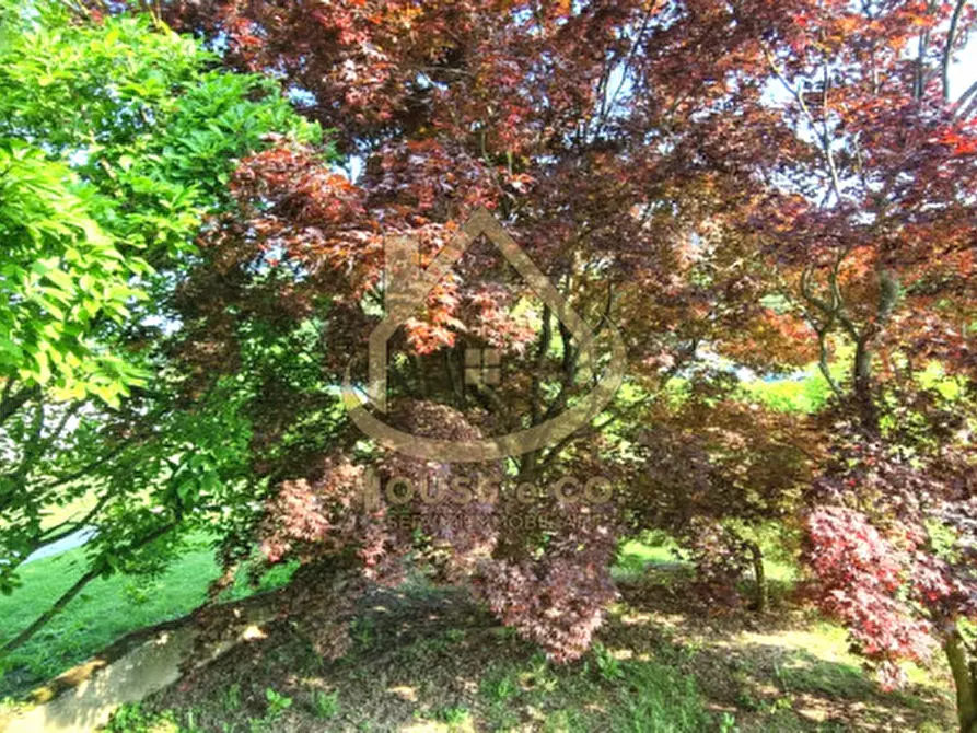 Immagine 38 di Villa in vendita  in Via Grandi a Cilavegna