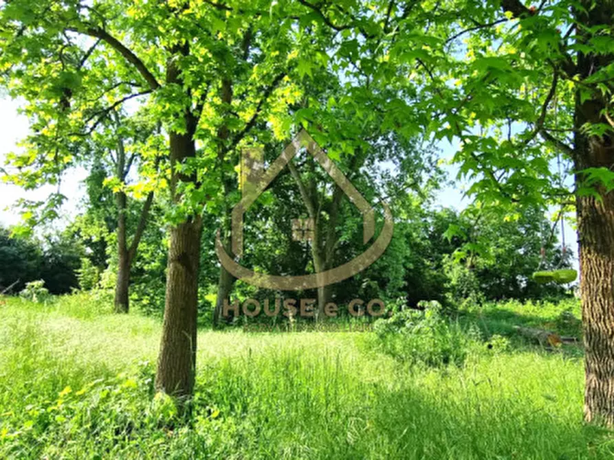 Immagine 42 di Villa in vendita  in Via Grandi a Cilavegna