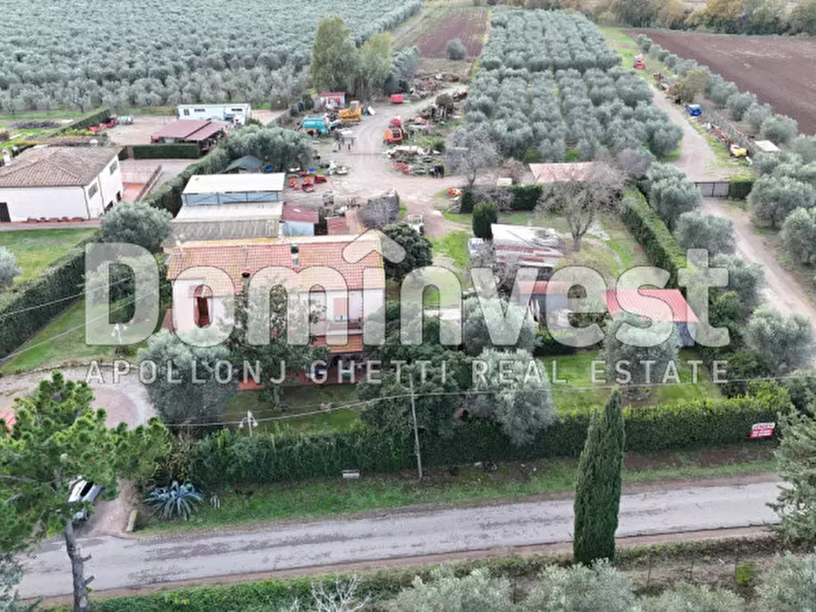 Immagine 2 di Rustico / casale in vendita  in località torre palazzi a Capalbio