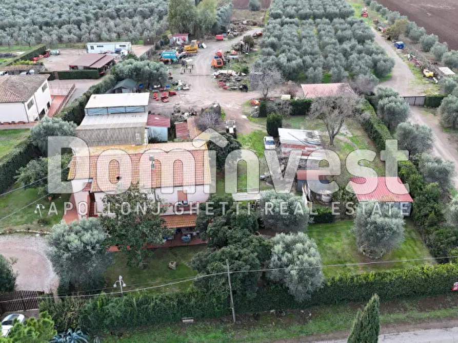 Immagine 3 di Rustico / casale in vendita  in località torre palazzi a Capalbio