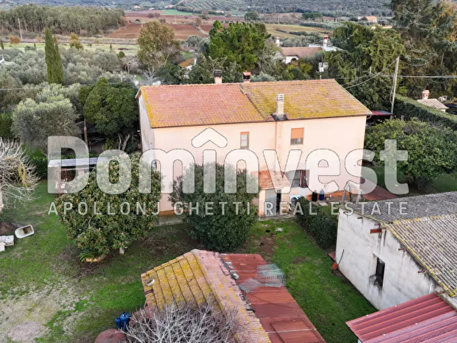 Immagine 4 di Rustico / casale in vendita  in località torre palazzi a Capalbio