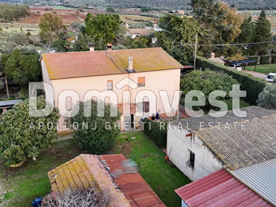 Immagine 5 di Rustico / casale in vendita  in località torre palazzi a Capalbio