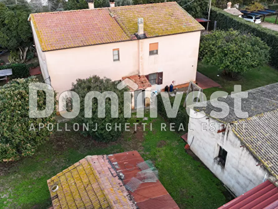 Immagine 6 di Rustico / casale in vendita  in località torre palazzi a Capalbio