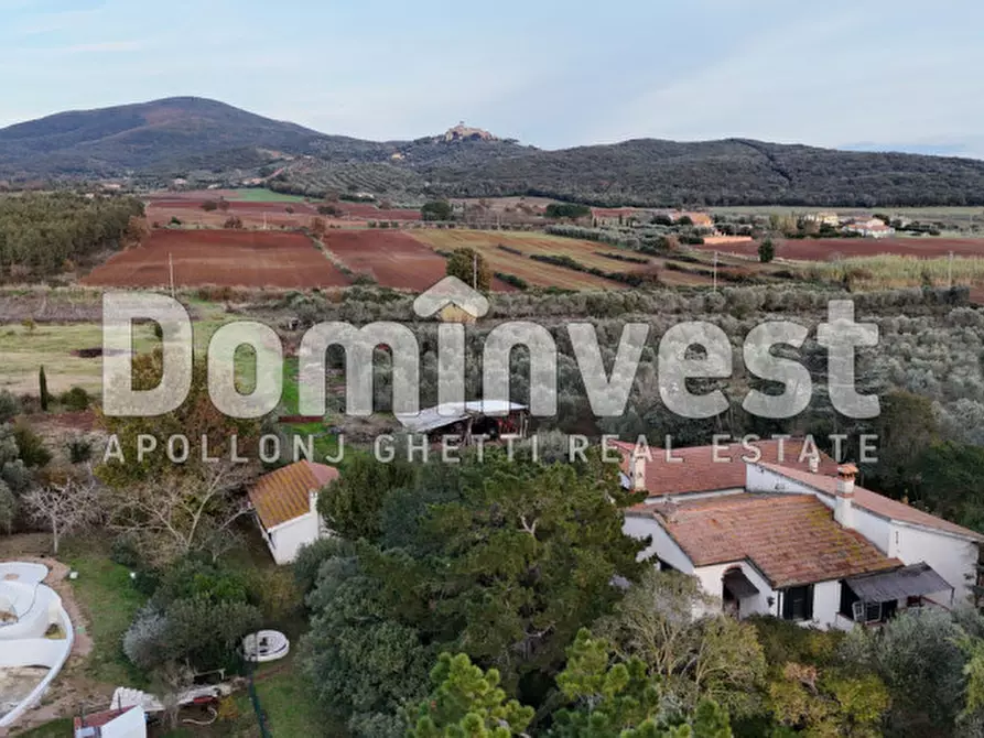 Immagine 8 di Rustico / casale in vendita  in località torre palazzi a Capalbio