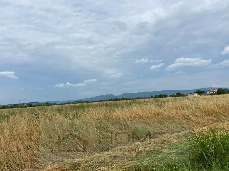 Immagine 5 di Terreno in vendita  in Via Lovolo a Rovolon