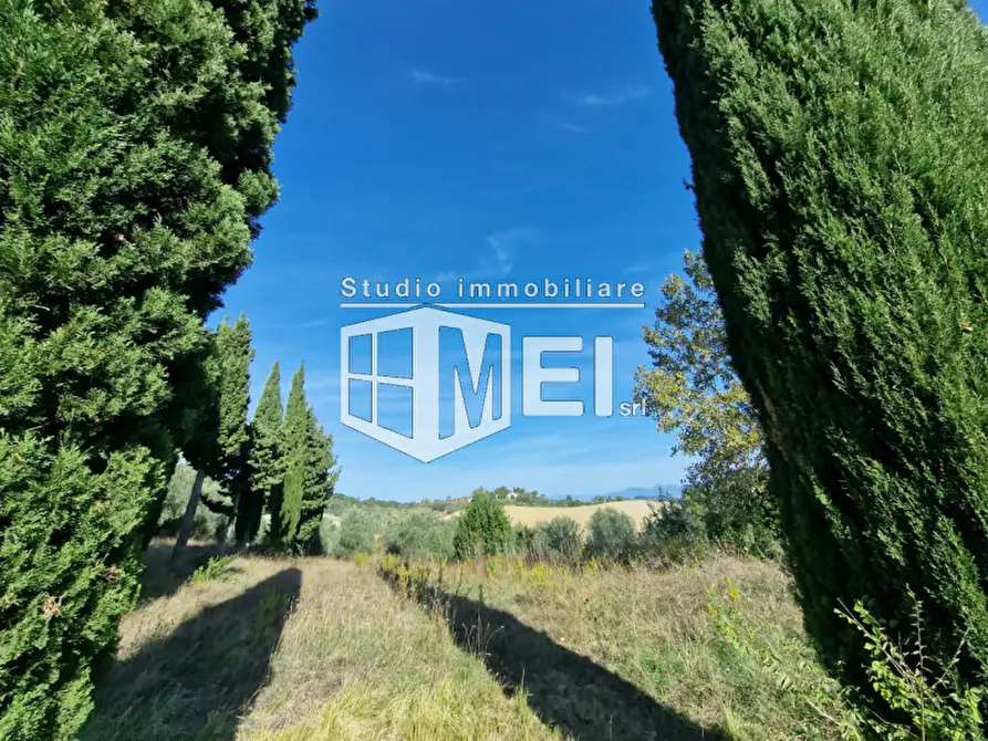 Immagine 17 di Rustico / casale in vendita  in via della Valle Benedetta a Livorno