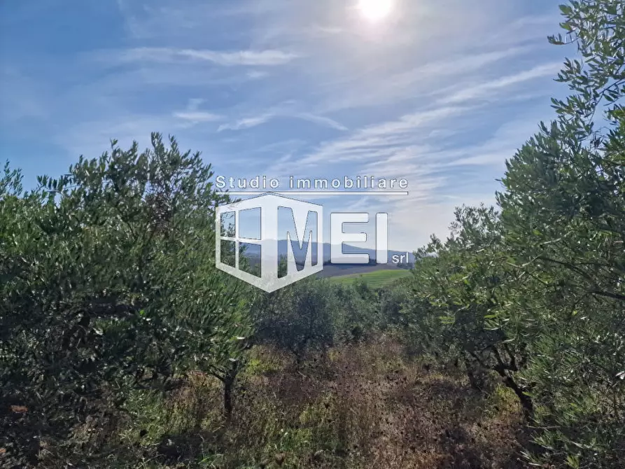 Immagine 20 di Rustico / casale in vendita  in via della Valle Benedetta a Livorno