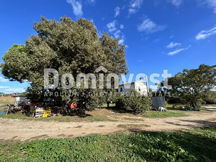 Immagine 3 di Villa in vendita  in carige alta a Capalbio