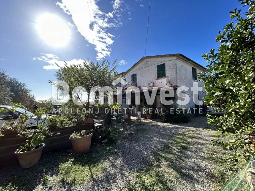 Immagine 4 di Villa in vendita  in carige alta a Capalbio