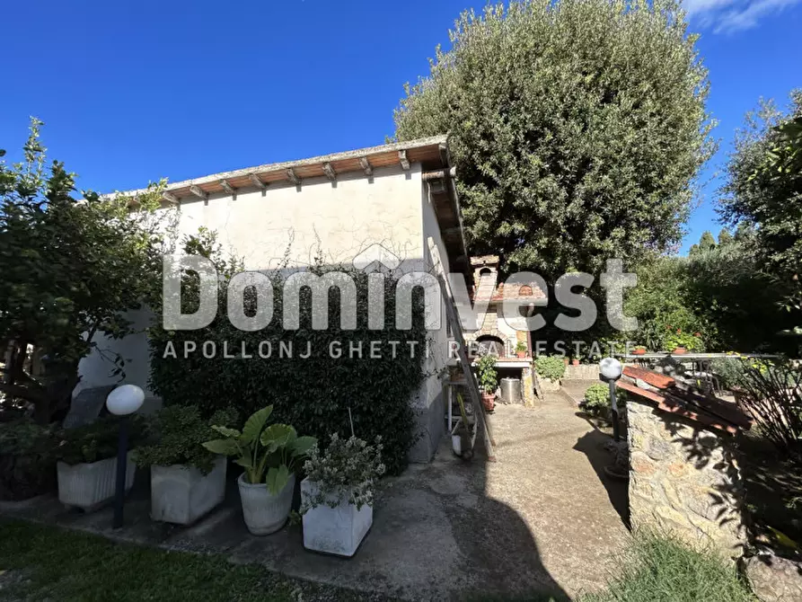 Immagine 6 di Villa in vendita  in carige alta a Capalbio